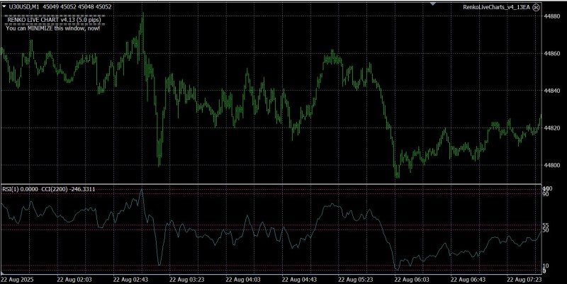 cci rsi repaint 1.jpg