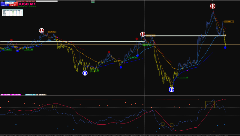 PARABOLIC RSI.png