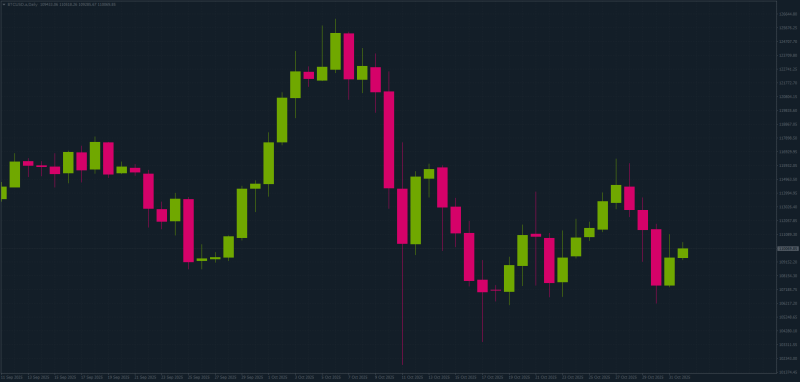 Binance Traditional Chart Theme for MT4 2.png