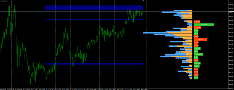 ehkä toimii ehkä ei.png