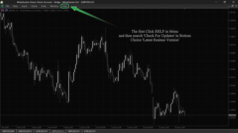 MetaQuotes MT5 Terminal.jpg