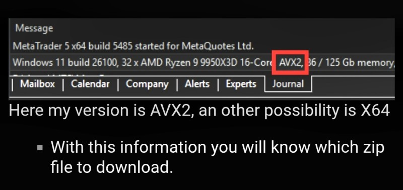 MT5 Terminal version for Choice.jpg