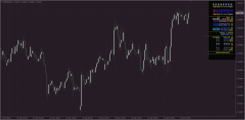 Market Sentiment ©.jpg