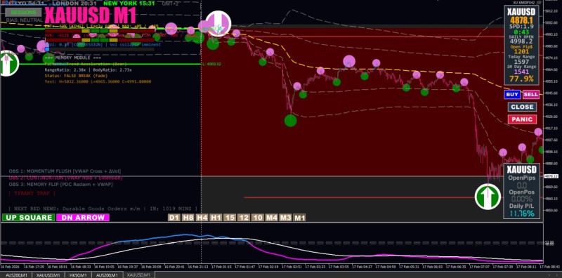 Tue 17th Feb 26 XAUUSD M1.jpg