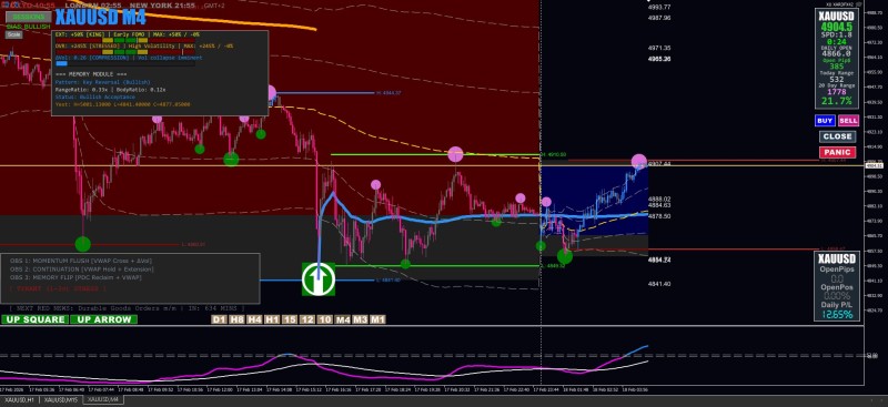 V2 XAUUSD 18 feb 26 .jpg