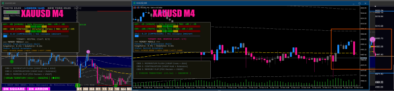 Captura de pantalla 2026-02-19 110511.png