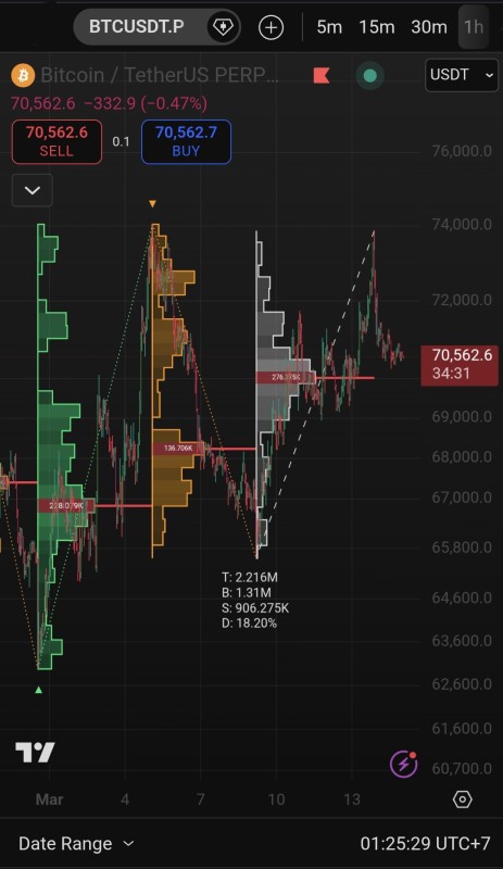 Swing Profile [BigBeluga] - H1 BTC.jpg
