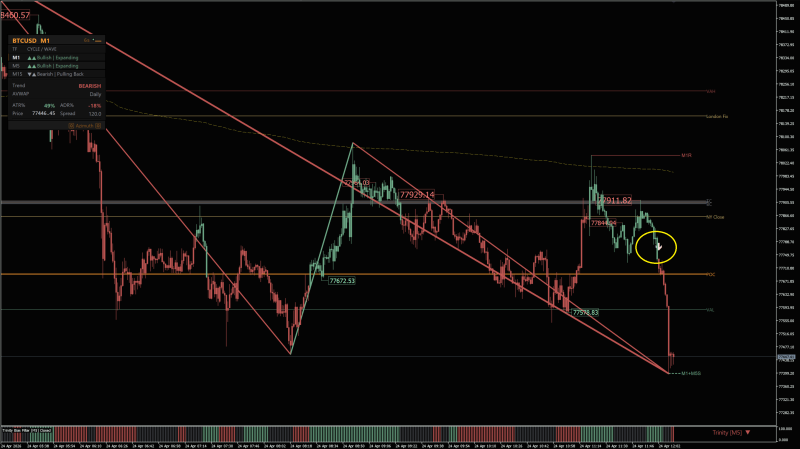 BTCSDM1-2.png