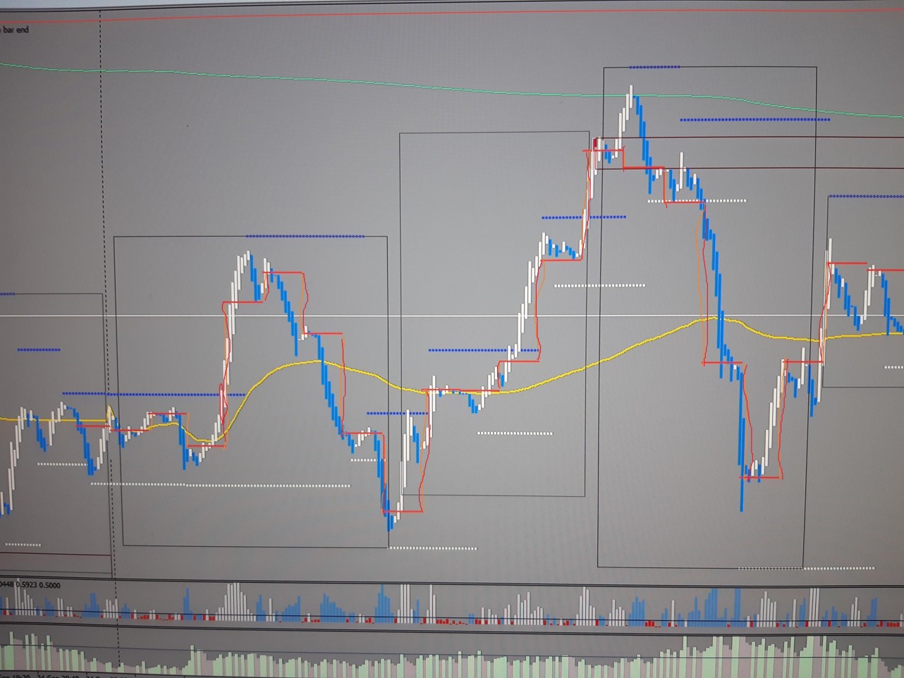 vol profile.jpeg